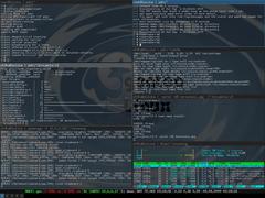 (Screenshot) git, synergy, htop, urxvt